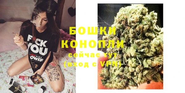 PSILOCYBIN Беломорск