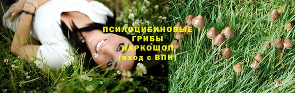 таблы Белокуриха