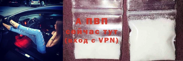 PSILOCYBIN Беломорск