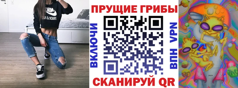 даркнет сайт  Вельск  Галлюциногенные грибы Cubensis 